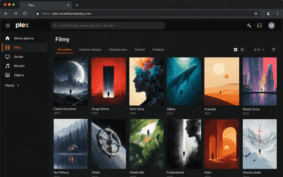 Plex Fernzugriff desktop 1